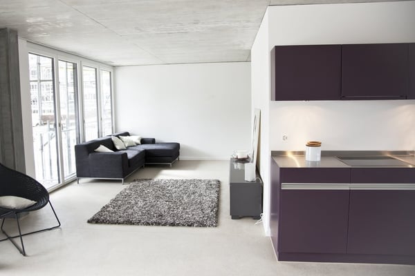 Einzigartige Loftwohnung im Zentrum von Schlieren 3
