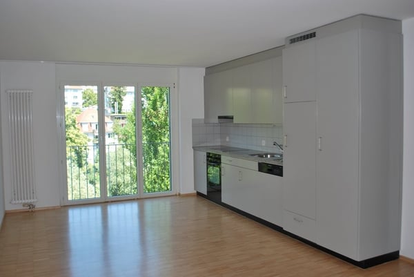 3.5 Zimmer-Wohnung an der Limmat 3