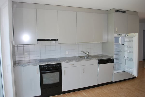 3.5 Zimmer-Wohnung an der Limmat 2