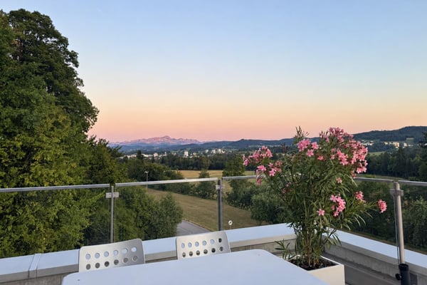 Exklusives Wohnen mit Weitsicht zum Säntis 9
