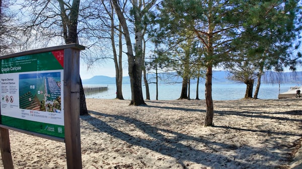 Restaurant et magasin + chambres d'hôtes à Chevroux / VD 10