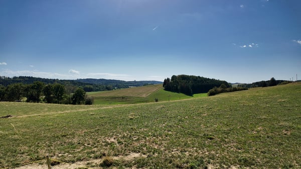 Villa familiale neuve de 5 pces à Champtauroz / VD 4