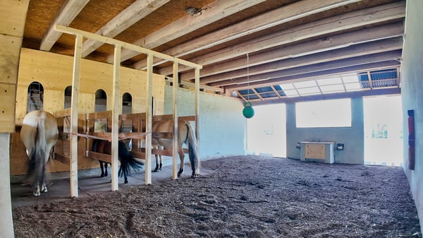 Ferme équestre rénovée de 6.5 pces sans voisinage à Villarimboud / FR 9