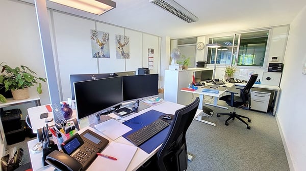 Locaux commerciaux / bureaux d'env. 220 m2 à Estavayer-le-Lac / FR 3