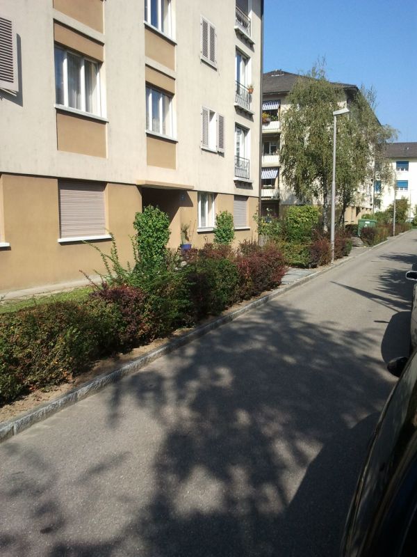 Schöne Wohnung im Grünen
