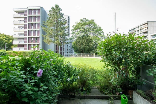 Attraktive 1.5-Zimmer-Wohnung mit Einstellhallenplatz 3