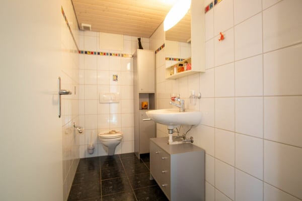 Charmante Wohnhaushälfte mit Werkstatt und Alpenpanorama 9