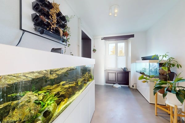 Stilvolles Einfamilienhaus mit Einlegerwohnung- renoviert, hell und heimelig 6