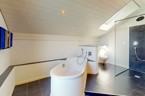 4,5-Zimmer-Oase am Thunersee mit Blick auf den Niesen Kopie 10