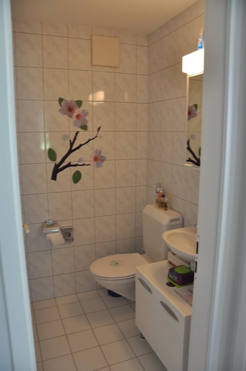 4.5 - Zimmerwohnung mit gedecktem Balkon im Dorfkern von Seltisberg! 10