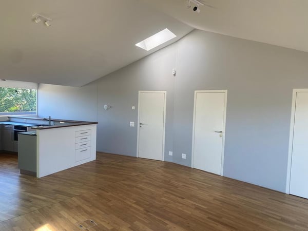 3.5-Zimmerwohnung in Allschwil mit zwei Dachterrassen! 2