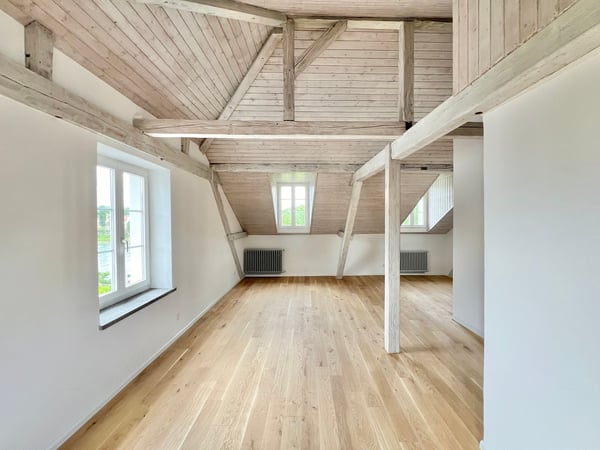 Basler Stadtvilla direkt am Rhein! 7