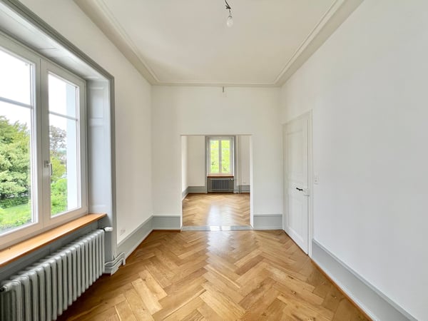Basler Stadtvilla direkt am Rhein! 4