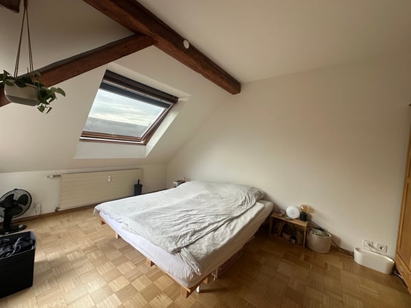 Charmante 3.5-Zimmer-Dachwohnung mit Dachterrasse! 2