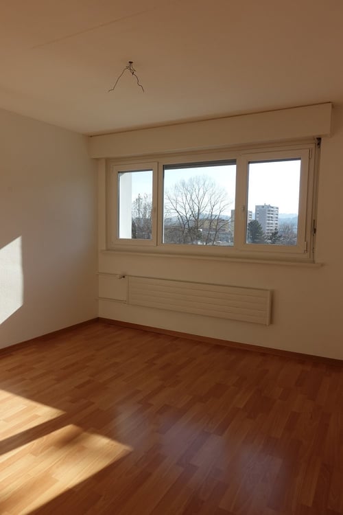 JOLI APPARTEMENT 1 PIECES LOUER 4