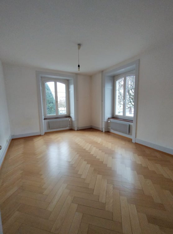 A LOUER APPARTEMENT LUMINEUX DE 1.5 PIECES 1