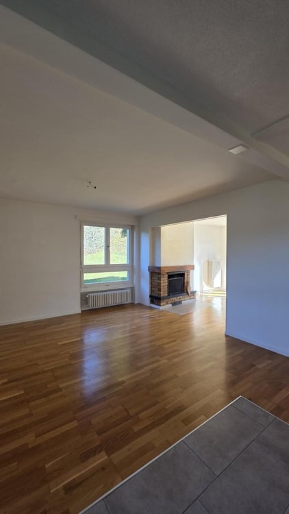 BEAU LOGEMENT AVEC CHEMINEE ET BALCON 5