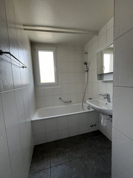Bel logement rénové avec balcon situé dans un quartier calme 5