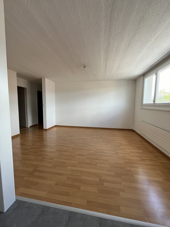 Bel logement rénové avec balcon situé dans un quartier calme 4