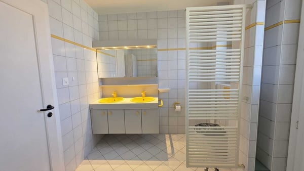 MAGNIFIQUE 1 PIÉCES AU REZ AVEC TERRASSE PRIVATIVE 8