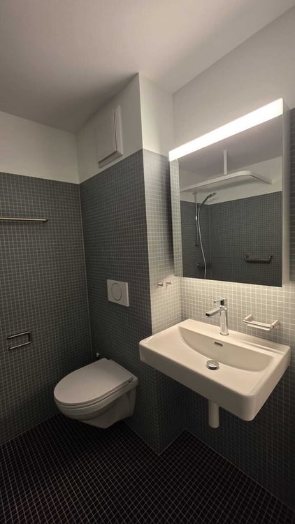 Des logements uniques après rénovation - Charmant 2.5 pièces 5
