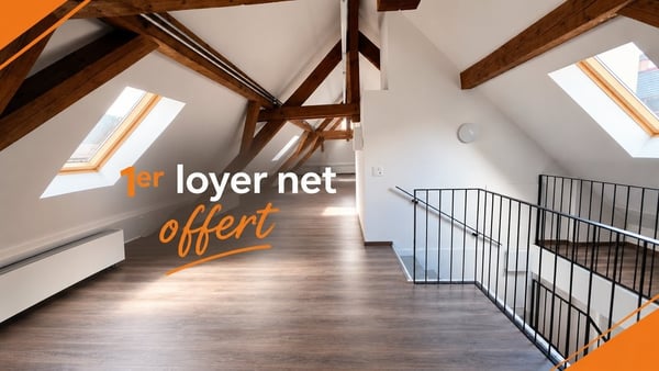 Duplex 100 m2 / local commercial ou appartement centre-ville 1