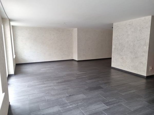 Superbe et grand appartement au centre-ville 4