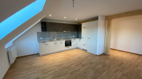 LOGEMENT NEUF DE 2024 DANS LES COMBLES AVEC ASCENSEUR 1