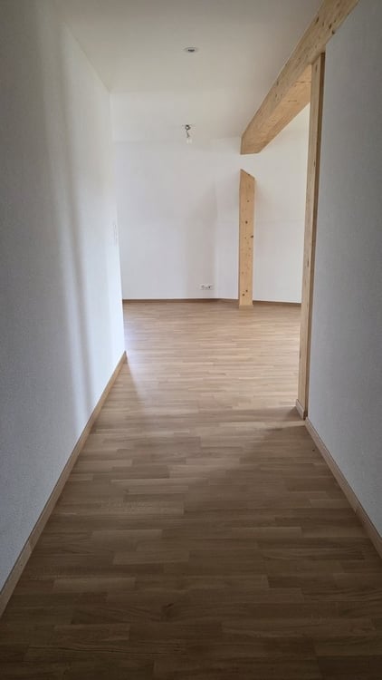 LOGEMENT NEUF DE 2024 DANS LES COMBLES AVEC ASCENSEUR 8