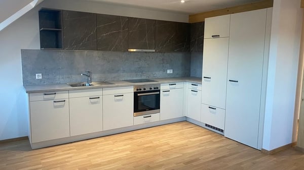 LOGEMENT NEUF DE 2024 DANS LES COMBLES AVEC ASCENSEUR 2