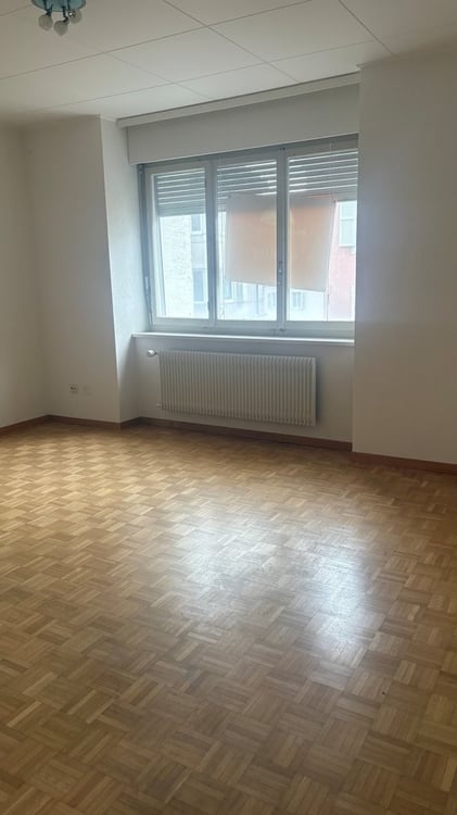 Appartement de 3 pièces en ville 8