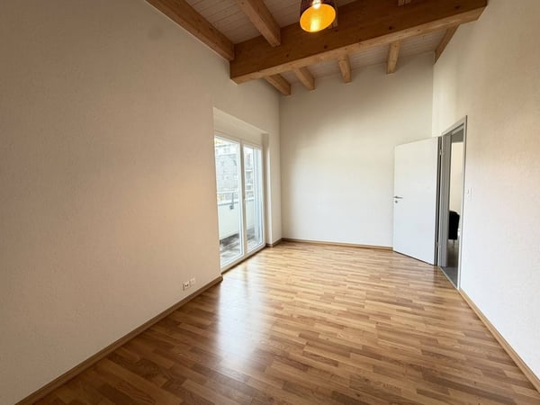 Magnifique appartement en attique avec grande terrasse 6