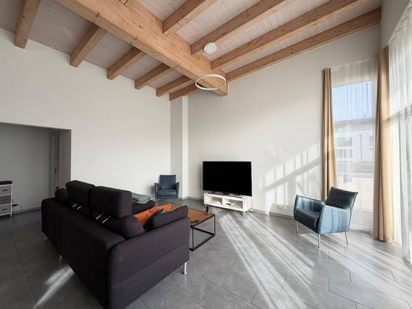 Magnifique appartement en attique avec grande terrasse 4