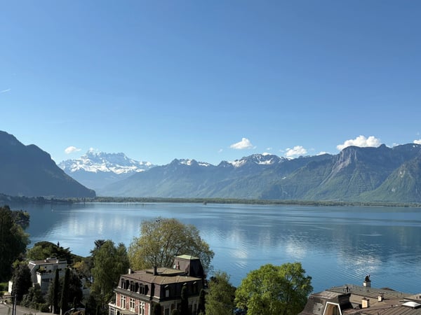 Appartement meublé de 1.5 pièces avec superbe vue sur le lac 11