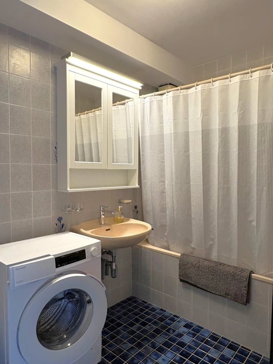 Appartement meublé de 1.5 pièces avec superbe vue sur le lac 7