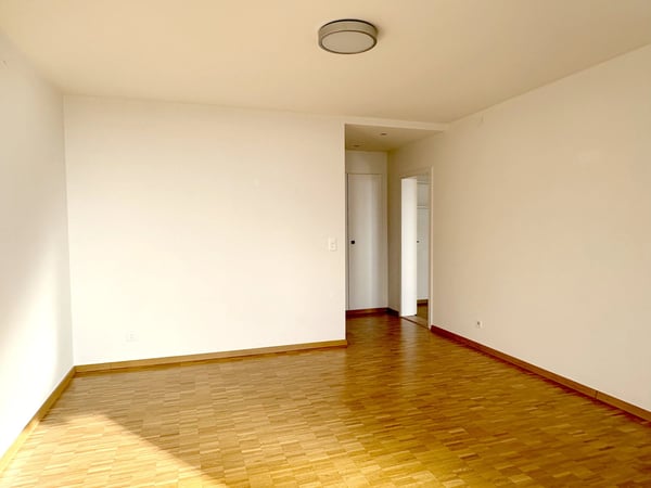 Superbe appartement de 1.5 pièces avec vue imprenable sur le lac et les montagnes 4