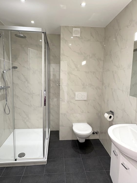 Superbe appartement de 1.5 pièces avec vue imprenable sur le lac et les montagnes 7