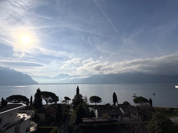 Superbe appartement de 1.5 pièces avec vue imprenable sur le lac et les montagnes 8