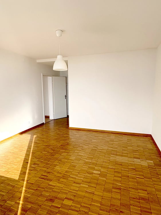 Superbe appartement de 1.5 pièces avec vue imprenable sur le lac et les montagnes 3