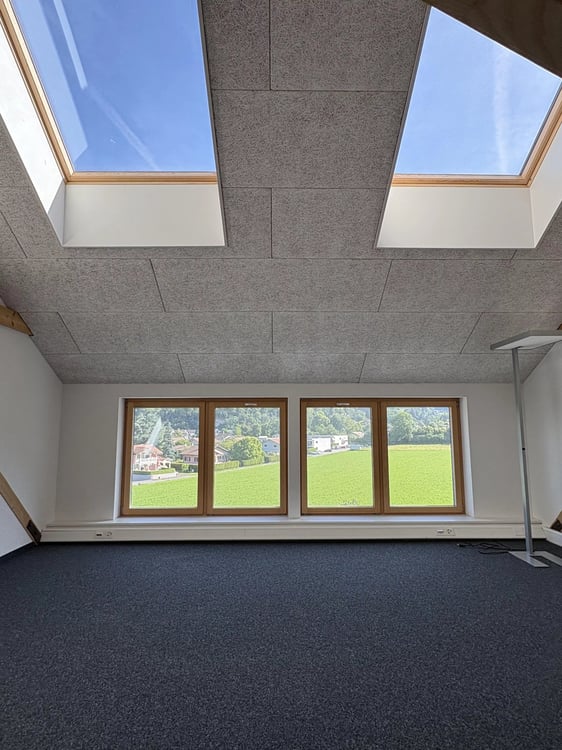 Belle surface commerciale de 106 m2 en duplex dans l'ancien arsenal à Bex 2