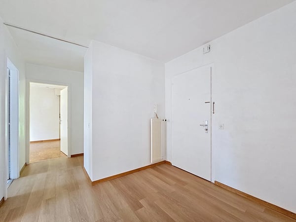 Appartement de 4 pièces à rénover proche du lac 7