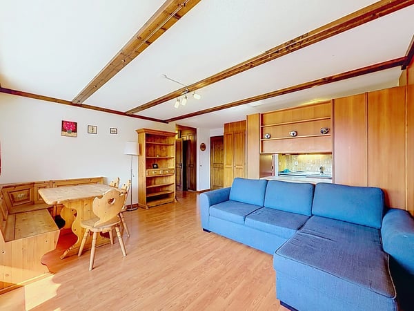 Bel appartement de 2 pièces avec magnifique vue 6