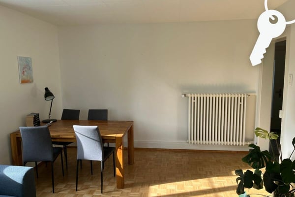 Schöne 1-Zimmer-Altbauwohnung in ruhigem Quartier 2