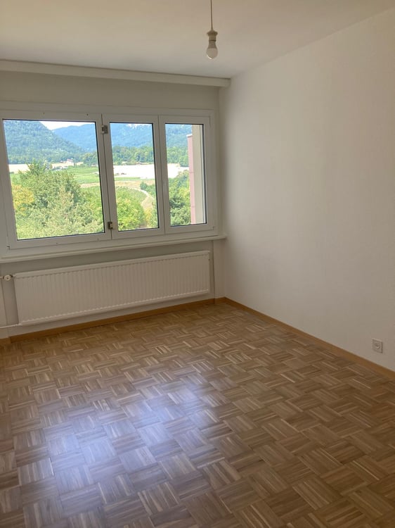 4.5 avec vue dégagée sur les montagnes 9