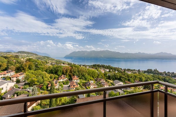 Superbe duplex de 2,5 pièces rénové avec vue panoramique sur le Léman, les Alpes et Lavaux