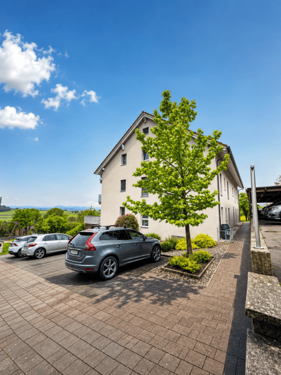 Local aménagé de 38 m² avec salle de douche 1