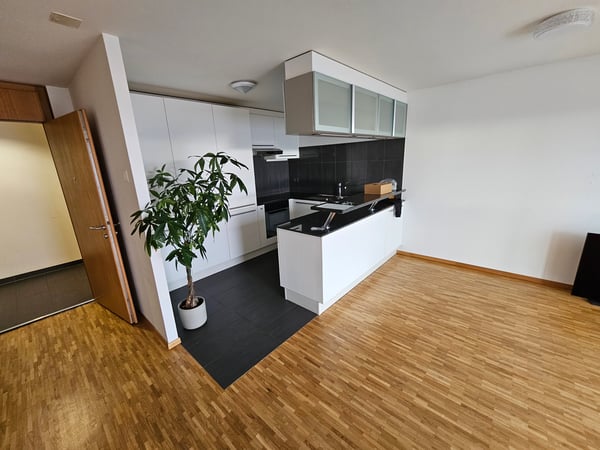 Appartement, 1.5 pièce(s) 3