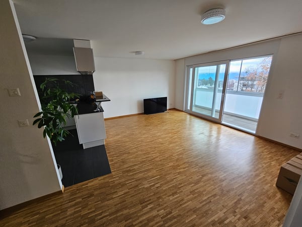 Appartement, 1.5 pièce(s) 2