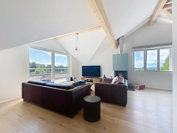 Magnifique attique avec parc arborisé commun 3