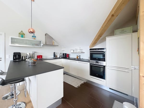 Magnifique attique avec parc arborisé commun 4